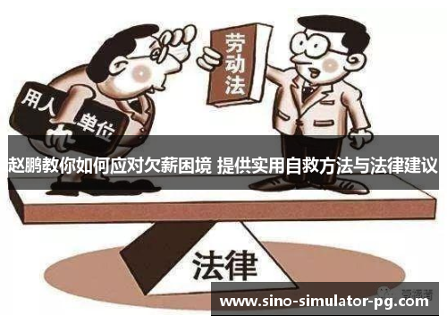 赵鹏教你如何应对欠薪困境 提供实用自救方法与法律建议 赵鹏教你如何应对欠薪困境 提供实用自救方法与法律建议