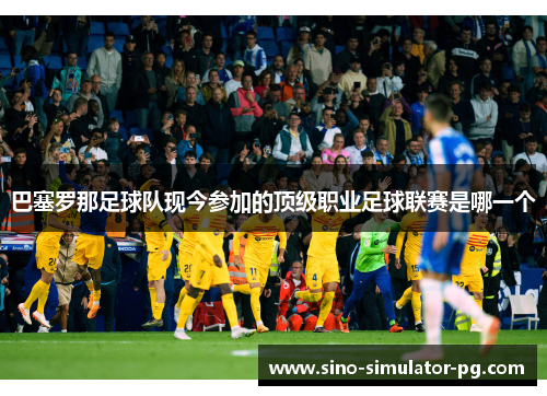 巴塞罗那足球队现今参加的顶级职业足球联赛是哪一个