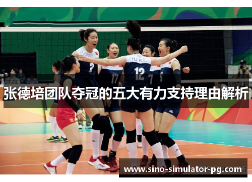 张德培团队夺冠的五大有力支持理由解析 张德培团队夺冠的五大有力支持理由解析