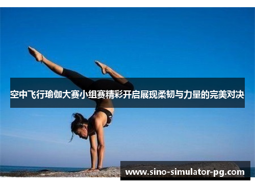 空中飞行瑜伽大赛小组赛精彩开启展现柔韧与力量的完美对决