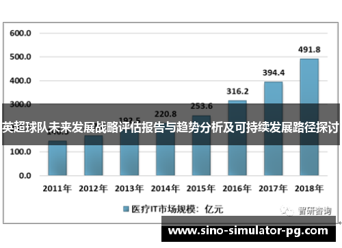 英超球队未来发展战略评估报告与趋势分析及可持续发展路径探讨
