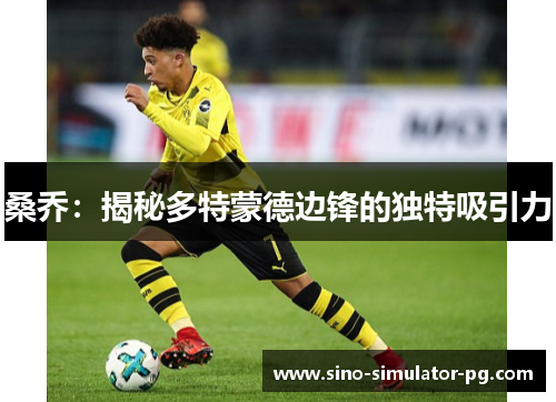 桑乔：揭秘多特蒙德边锋的独特吸引力