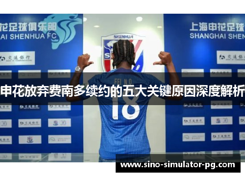 申花放弃费南多续约的五大关键原因深度解析