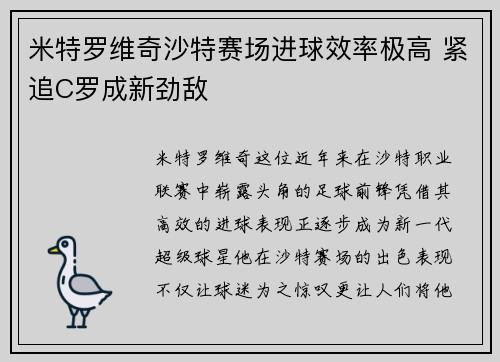 米特罗维奇沙特赛场进球效率极高 紧追C罗成新劲敌
