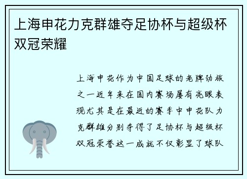 上海申花力克群雄夺足协杯与超级杯双冠荣耀