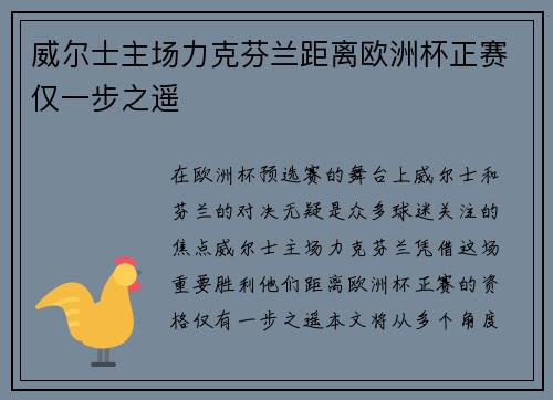 威尔士主场力克芬兰距离欧洲杯正赛仅一步之遥 威尔士主场力克芬兰距离欧洲杯正赛仅一步之遥